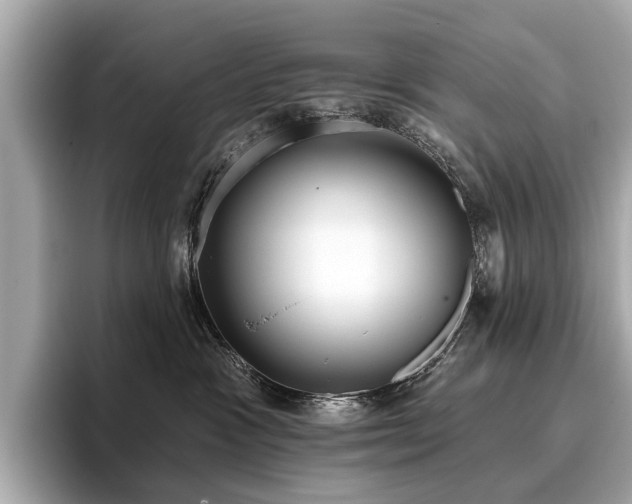 X0000096630333200802051112