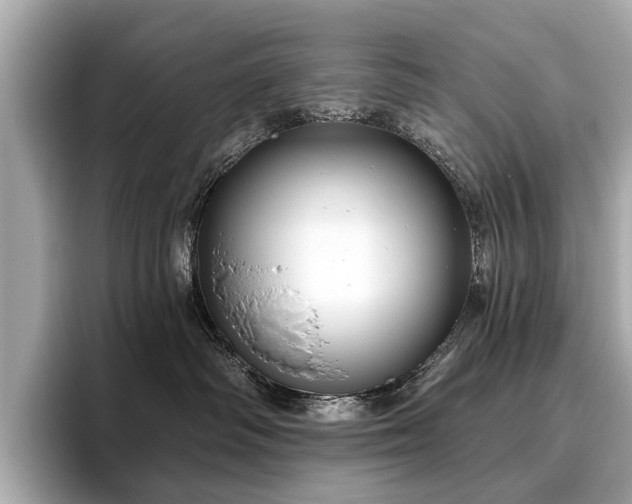 X0000096630334200802051112