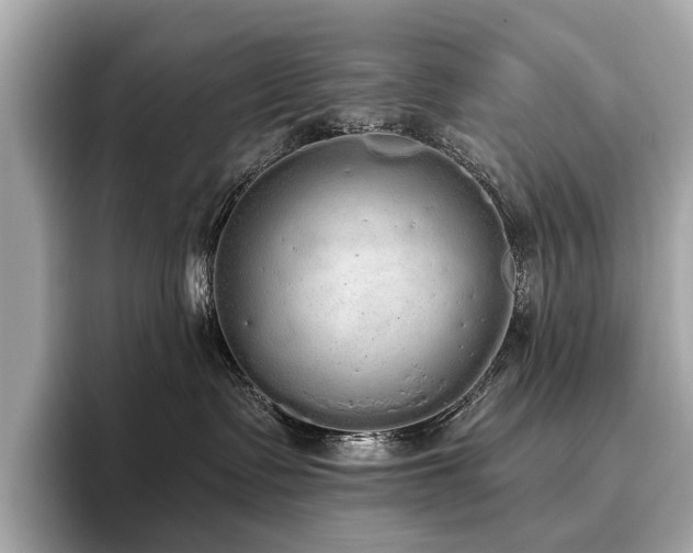 X0000096630335200802051112