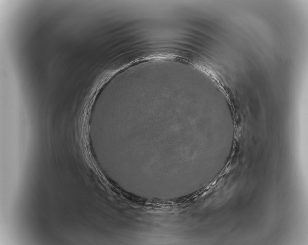X0000096630337200802051111