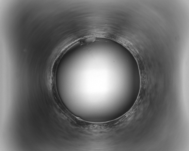 X0000096630338200802051111