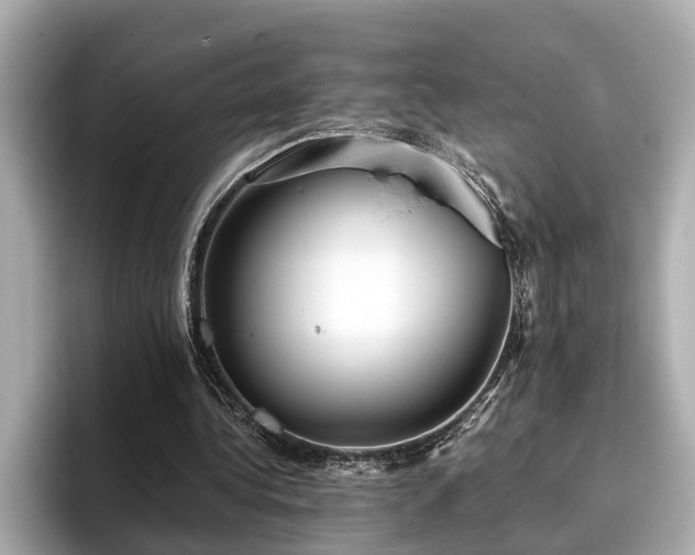 X0000096630340200802051111