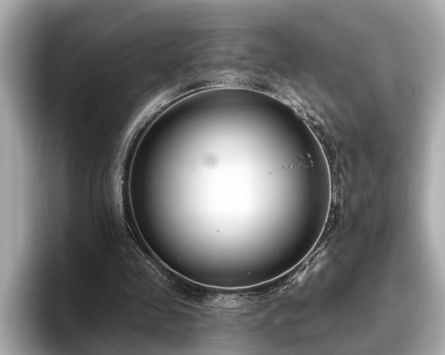 X0000096630341200802051111