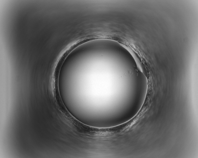 X0000096630342200802051111