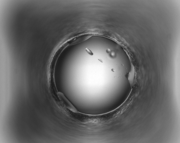 X0000096630344200802051112