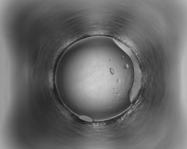 X0000096630345200802051112
