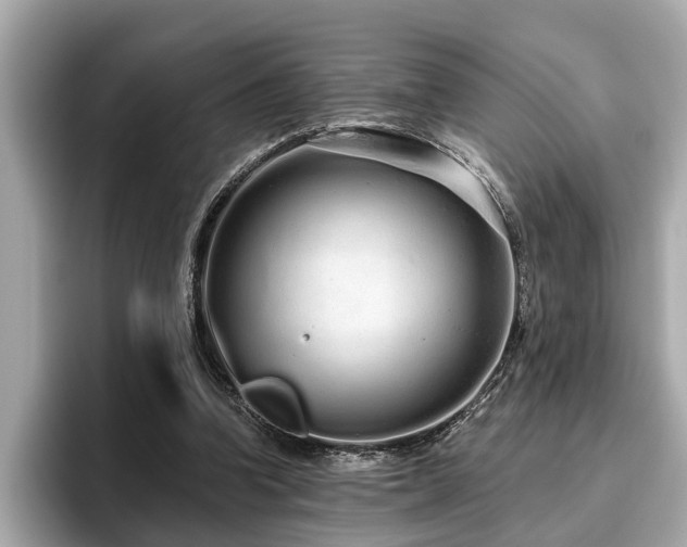 X0000096630346200802051112