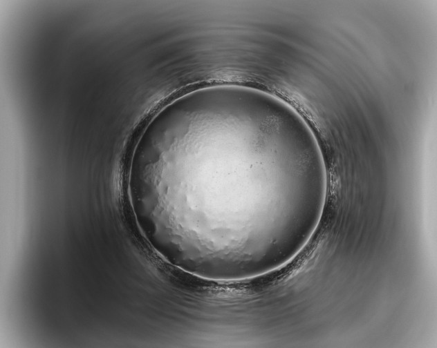 X0000096630347200802051112
