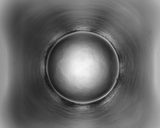 X0000096630349200802051112