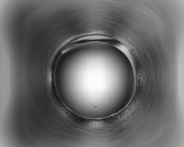 X0000096630350200802051112