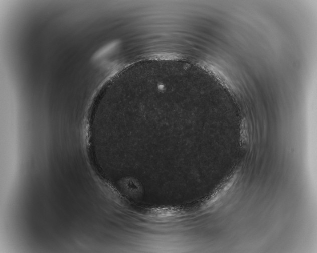 X0000096630351200802051112