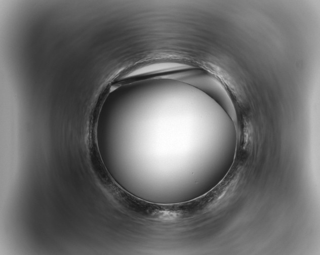 X0000096630352200802051112