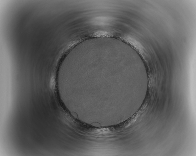 X0000096630353200802051112