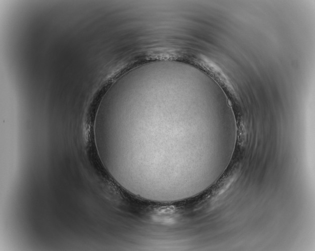 X0000096630355200802051112
