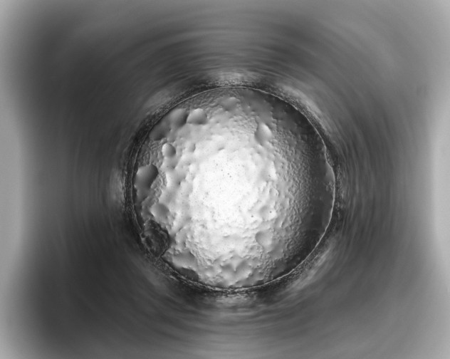 X0000096630357200802051112