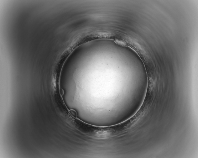 X0000096630358200802051112