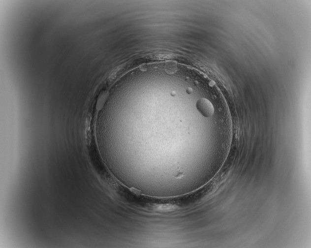 X0000096630360200802051112