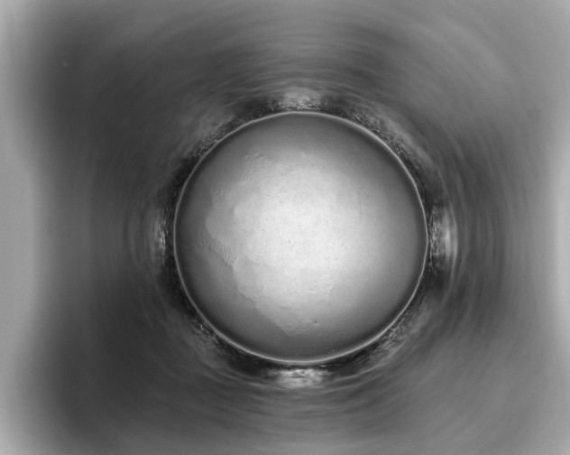 X0000096630363200802051112