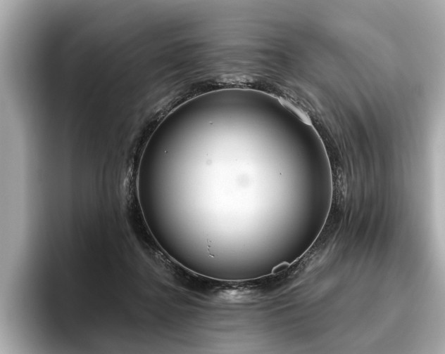 X0000096630364200802051112