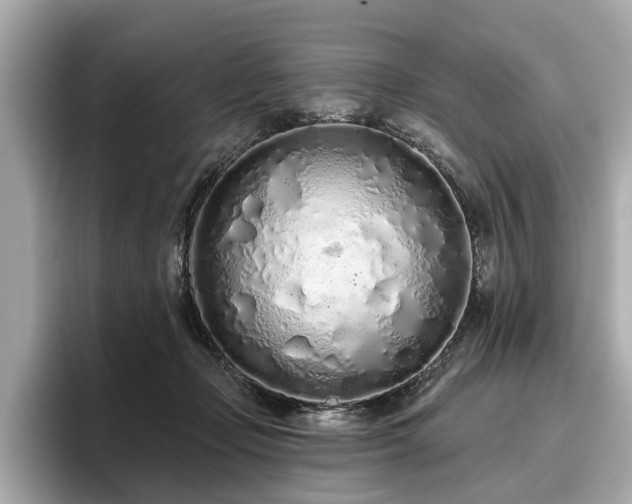 X0000096630365200802051112