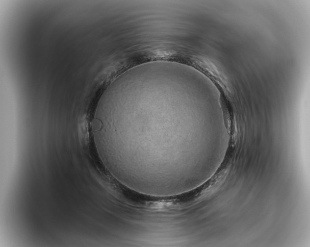 X0000096630366200802051112