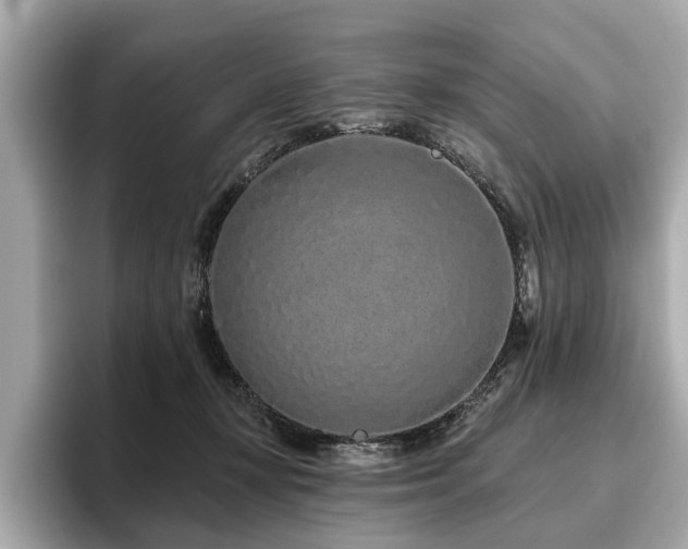 X0000096630367200802051112