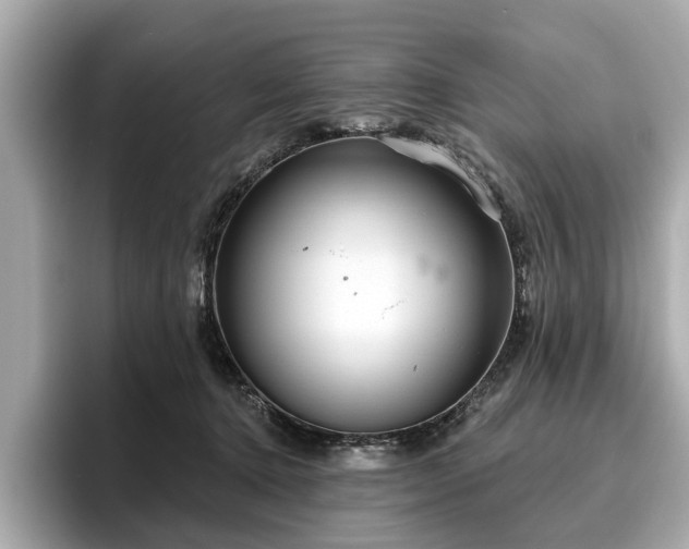 X0000096630368200802051112