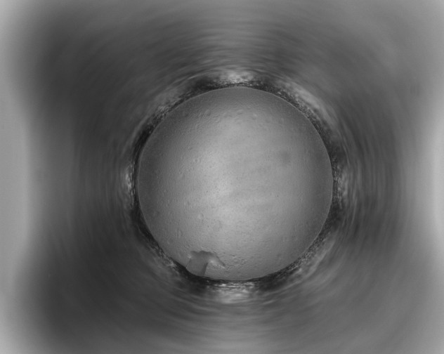 X0000096630373200802051112