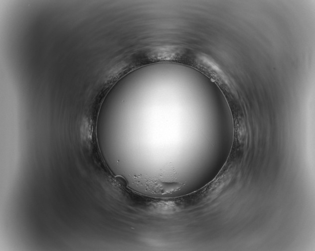X0000096630374200802051112