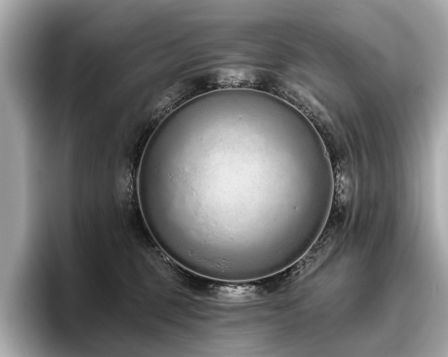 X0000096630375200802051112