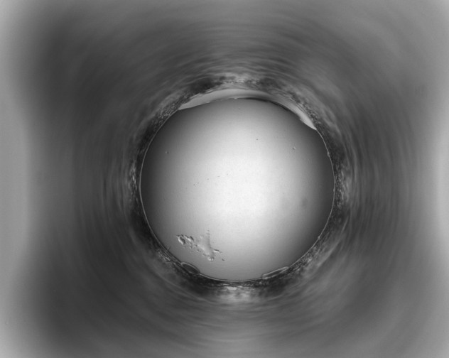 X0000096630376200802051112