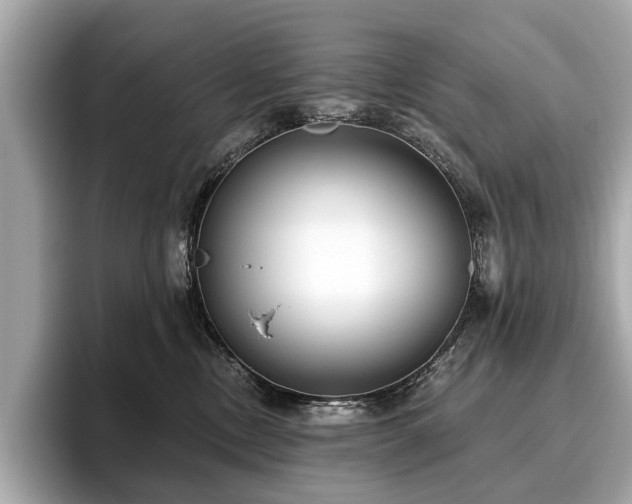 X0000096630378200802051112