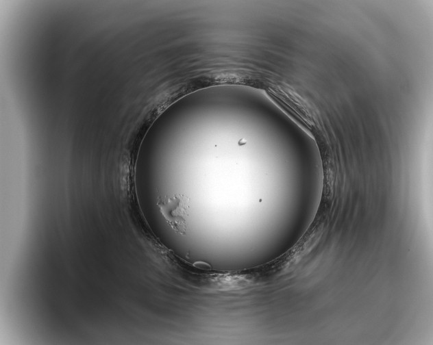 X0000096630379200802051112