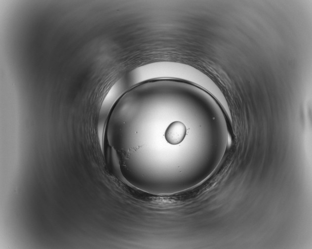 X0000096630380200802051112