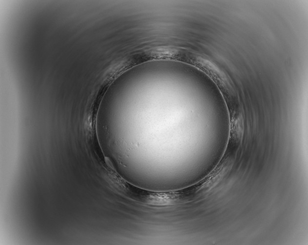 X0000096630381200802051112