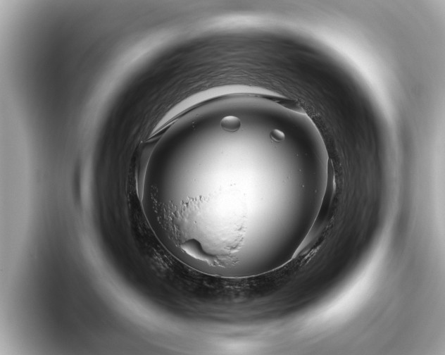 X0000096630382200802051112