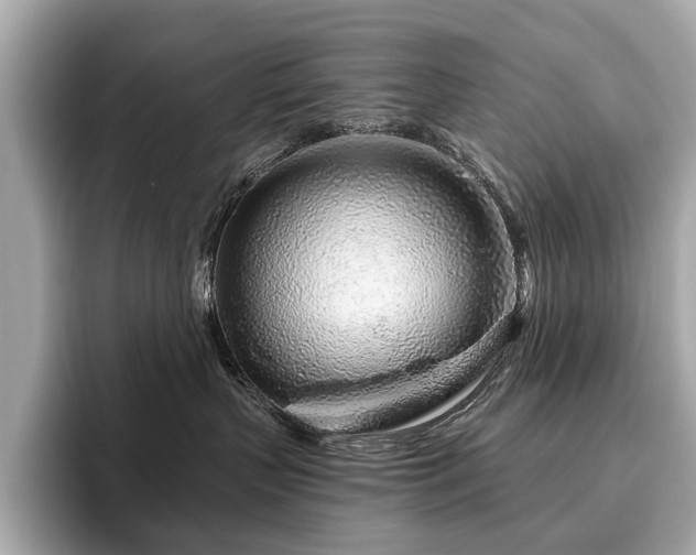 X0000096630383200802051112
