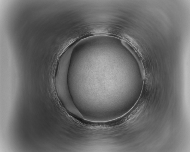 X0000096630385200802051111