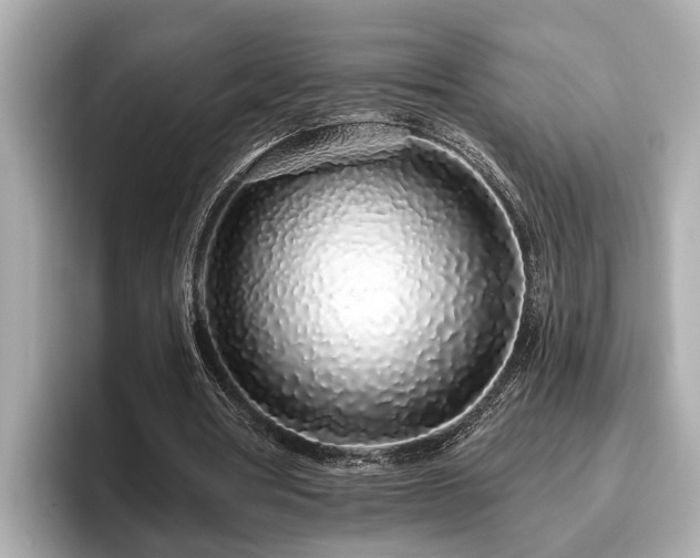 X0000096630386200802051111