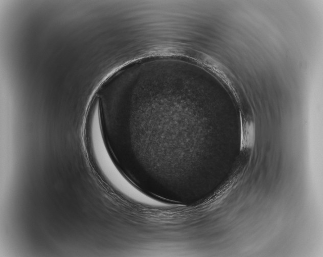 X0000096630387200802051111