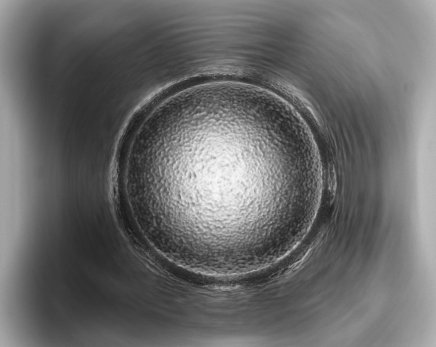 X0000096630388200802051111