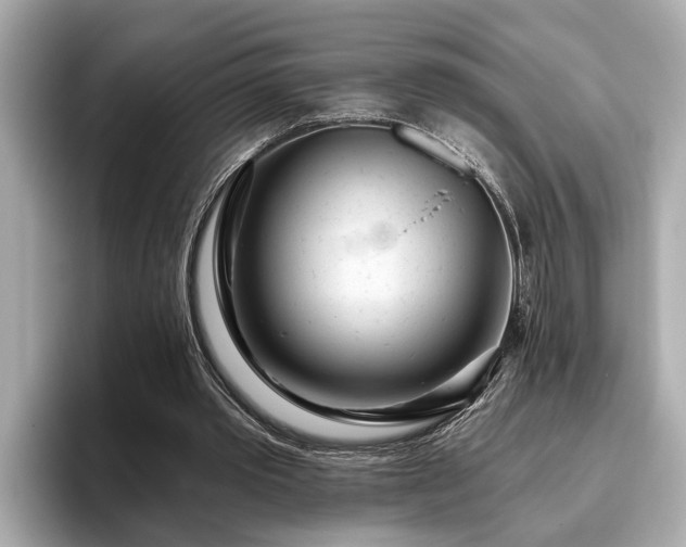 X0000096630389200802051111