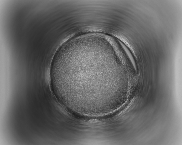 X0000096630390200802051111
