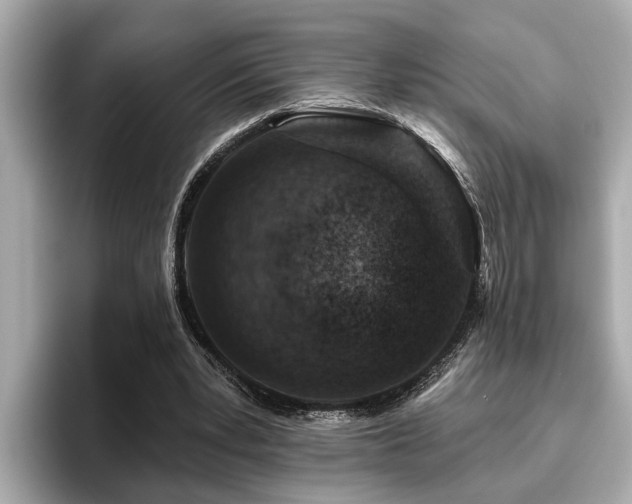 X0000096630391200802051111
