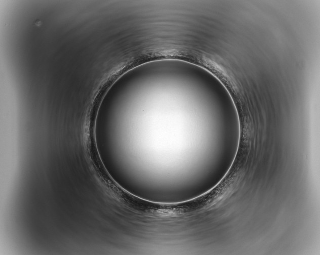 X0000096630394200802051111
