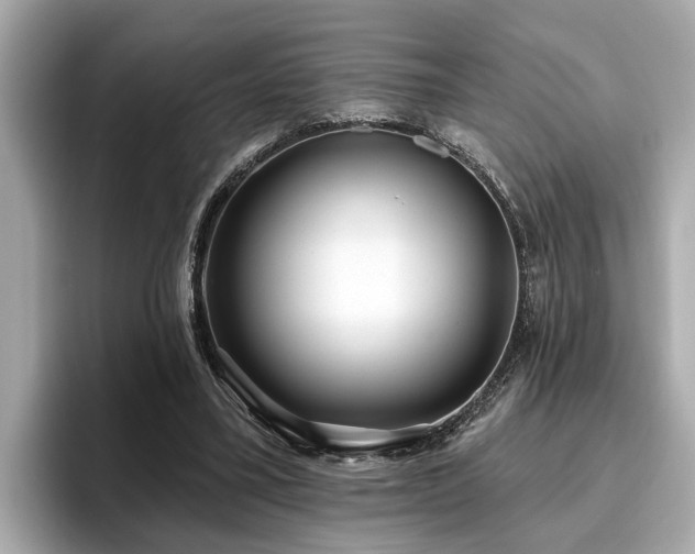 X0000096630395200802051111