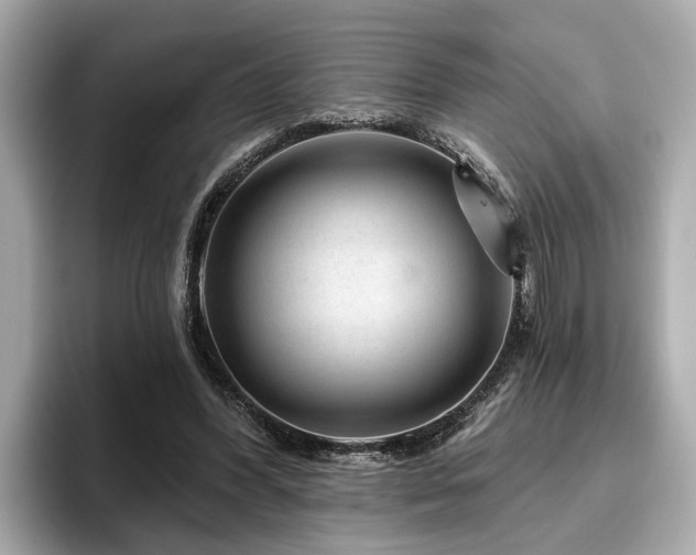 X0000096630396200802051111