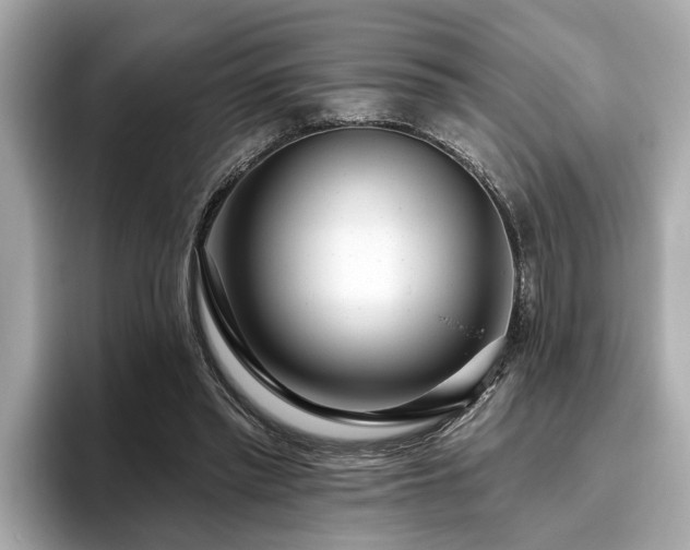 X0000096630397200802051111