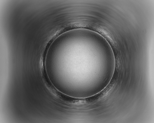 X0000096630398200802051111