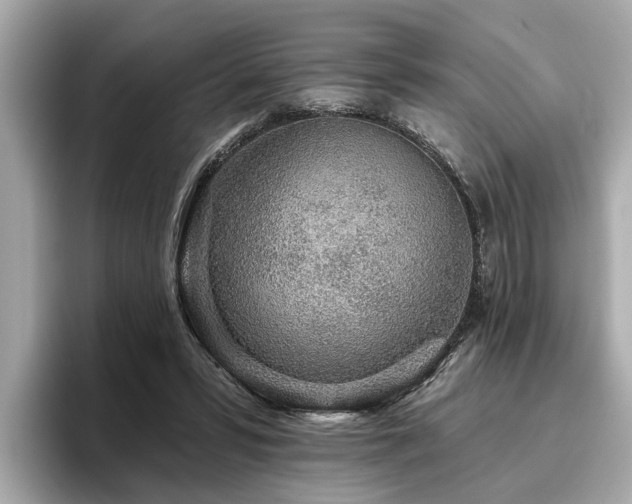 X0000096630399200802051111